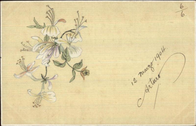 OPF O.P.F. Flowers c1905 Postcard