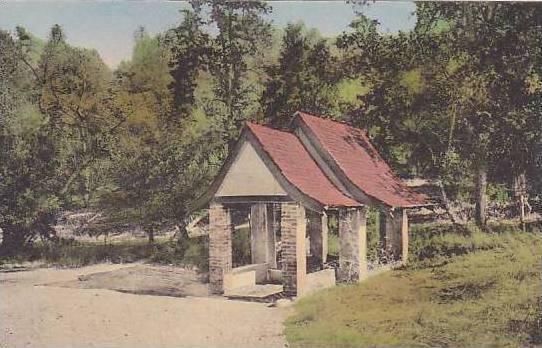 Califorinia Seigler Springs Soda Spring Seigler Hot Springs Albertype