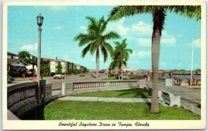Postcard - Beautiful Bay Drive in Tampa, Florida