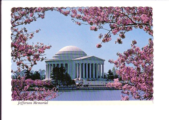 Jefferson Memorial, Blossoming Japanese Cherry Tree, Washington DC, 
