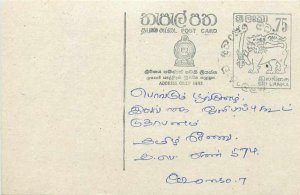 Entier Postal Stationery Postal Sri Lanka Ceylon Lion