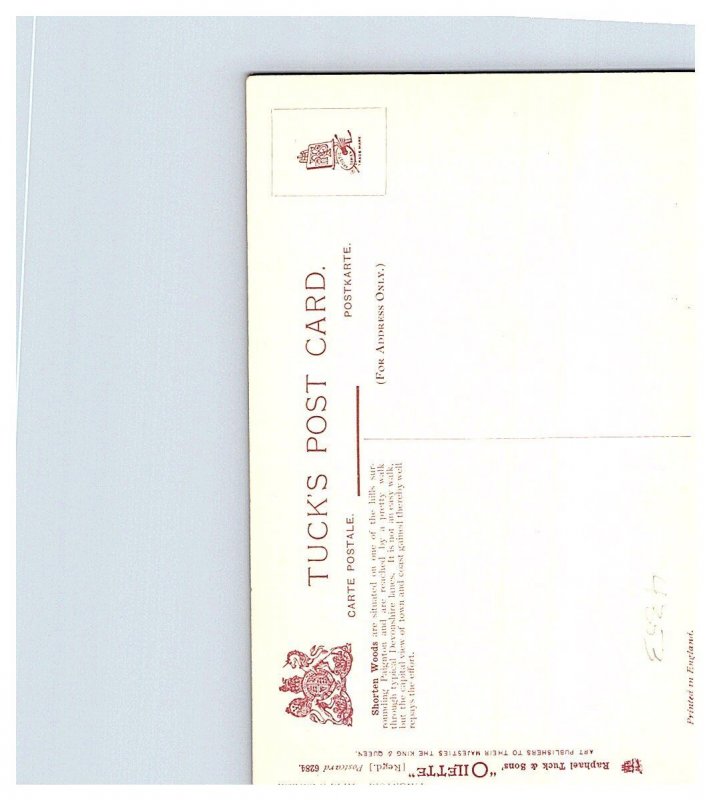 Paignton series    Tuck No 6284