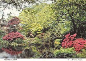 uk34570 surrey garden  uk