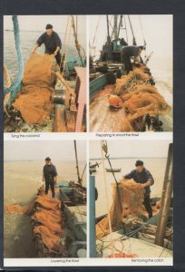 Essex Postcard - Fishing Industry - A Day Out Shrimping, Southend-On-Sea? BX740