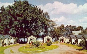 FREDERICTON, NB Canada  RIVERSIDE MOTOR COURT Cottages ROADSIDE c1950's Postcard