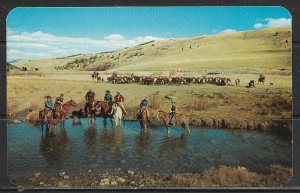 Montana - Cattle Round-up Time - [MT-047]