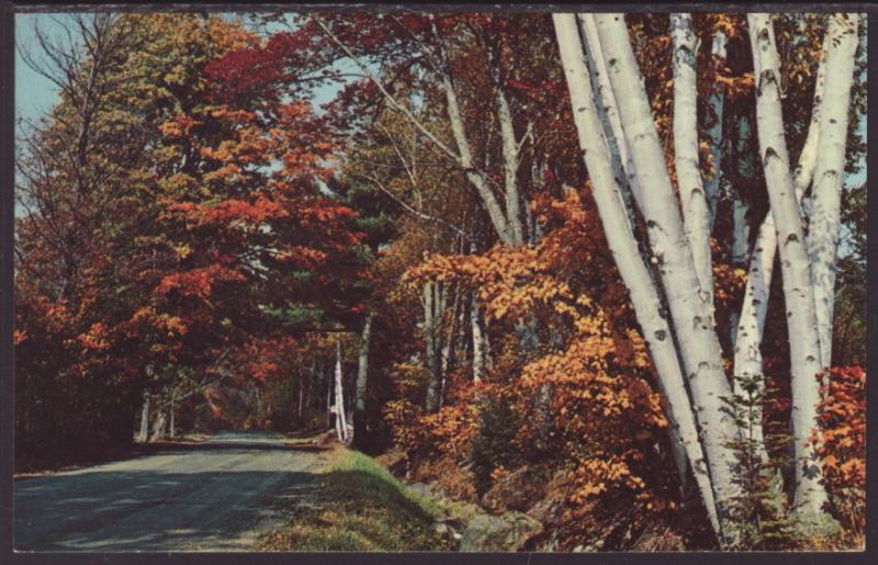 Fall in the Country Postcard BIN