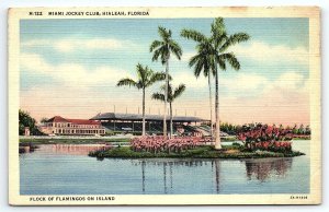 1935 HIALEAH FLORIDA FL MIAMI JOCKEY CLUB FLOCK OF FLAMINGOS POSTCARD P2659