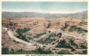 Vintage Postcard 1920's Spring Creek Canyon Apache Mountain Hiking Trail Arizona