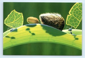 A Bug's Life Leaf Bridge Test Scene Film Image Pixar Postcard