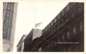 Macy Parade - New York City, NY