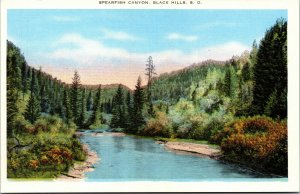 Vtg 1930s Spearfish Canyon Black Hills South Dakota SD Unused Linen Postcard