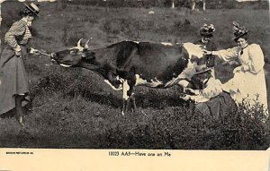 Have one on Me Cow 1907 trimmed