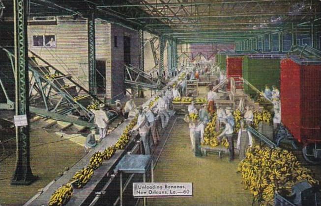 Louisiana New Orleans Unloading Bananas From Ship Side