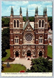 St. Peter's Cathedral, London, Ontario, Canada, Chrome Aerial View Postcard, NOS