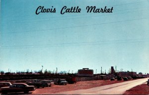 New Mexico Clovis Stockyards The Cattle Market