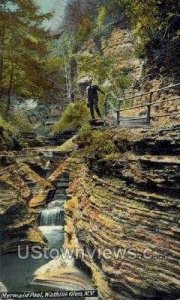 Mermaid Pool - Watkins Glen, New York NY  