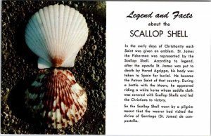 Postcard BEACH SCENE New England Maine ME AK7995