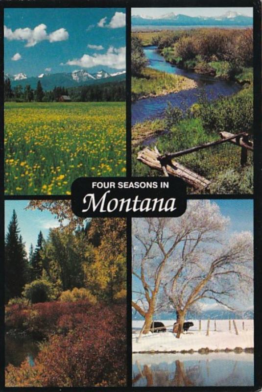 Montana Four Seasons Multi View