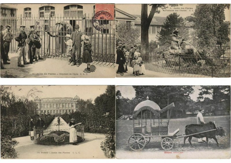 ZOO JARDIN DE PLANTES ANIMAUX 200 CPA pre-1930 (L4066)