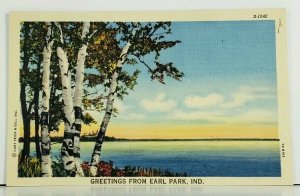 Earl Park Indiana Greetings Scenic View Lake Pier Curt Teich Linen Postcard A2