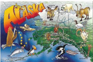 Alaska Map Card with Fish and Animals  4 by 6