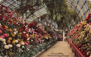 Lincoln Park Conservatory Chicago, Illinois USA View Postcard Backing 