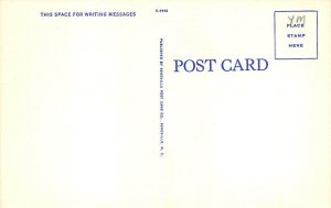 Fall Setting Misc, North Carolina NC Postcard