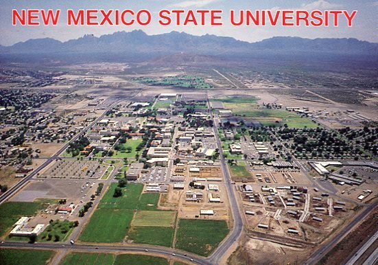 NEW MEXICO STATE UNIVERSITY