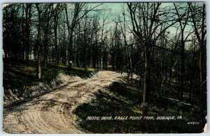 c1910s Dubuque, IA Eagle Point Park Rustic Drive Litho Photo Road Postcard A263