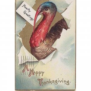 Hearty Greetings For A Happy Thanksgiving Holiday Postcard