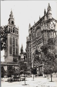 Spain Sevilla Orange Trees Court and Cathedral  Vintage RPPC C173