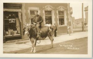 Man on Ox in Nova Scotia 5x7 Matted Print