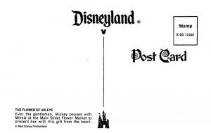 CA, California DISNEYLAND AMUSEMENT PARK Mickey~Minnie~Flower Stand  Postcard