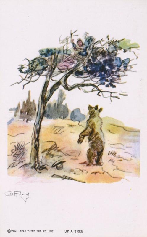 Up A Tree Charles M. Russell Cowboy Artist CM Bear Man Trail's End Postcard D24