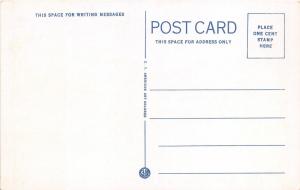 Elmhurst Illinois~Wilders Park~Greenhouses on Right~Flowers~1920s Postcard