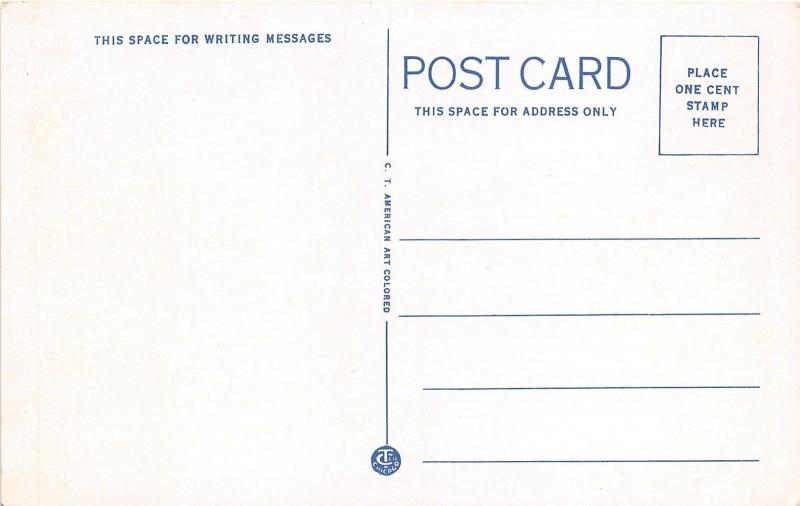 Elmhurst Illinois~Wilders Park~Greenhouses on Right~Flowers~1920s Postcard