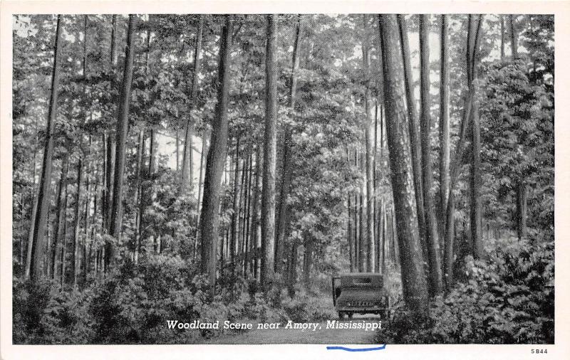 E67/ Amory Mississippi Postcard c1940s Woodland Scene Automobile