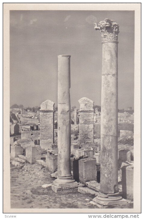 RP: OSTIA ANTICA - Colonne sul decumano , Italy , 00-10s ;