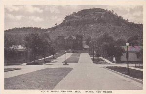 New Mexico Raton Court House & Goat Hill Albertype