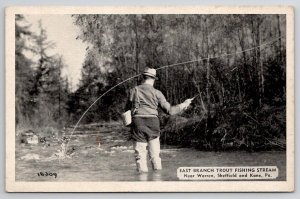 East Branch Trout Fishing Stream Near Warren, Sheffield And Kane PA Postcard X29