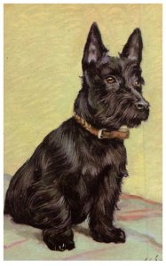 Dog , Scottie , artist signed