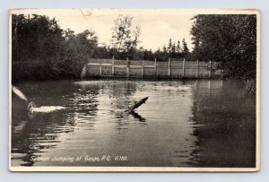 RPPC Salmon Jumping at  Gaspe PQ Quebec Canada 1934 Postcard I16