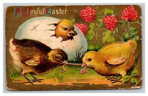 Vintage 1910's Easter Winsch Back Postcard Cute Chicks Hatch Fight Over Worm