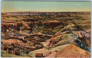 1935 Painted Desert Ariz Petrified Forest Tree Logs Badlands Teich Linen AZ A220