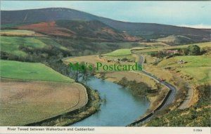 Scotland Postcard - River Tweed Between Walkerburn an Caddenfoot RS27455