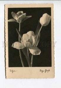 289669 GERMANY flowers 1933 year airmail Rocket RPPC