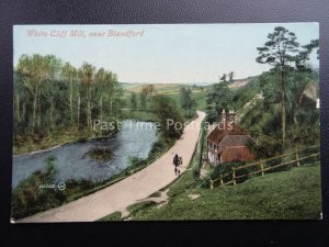 Dorset BLANDFORD White Cliff Mill c1907 Postcard by Valentine 60362