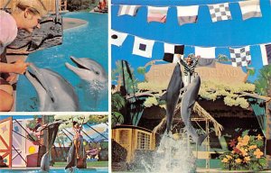 The Enchanted Island Show Marrlott's Great America Gurnee, Illinois USA