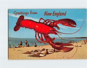 Postcard Greetings From New England